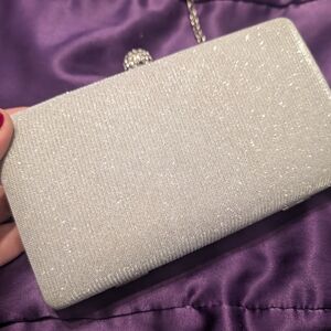 Elegant Silver Clutch Bag